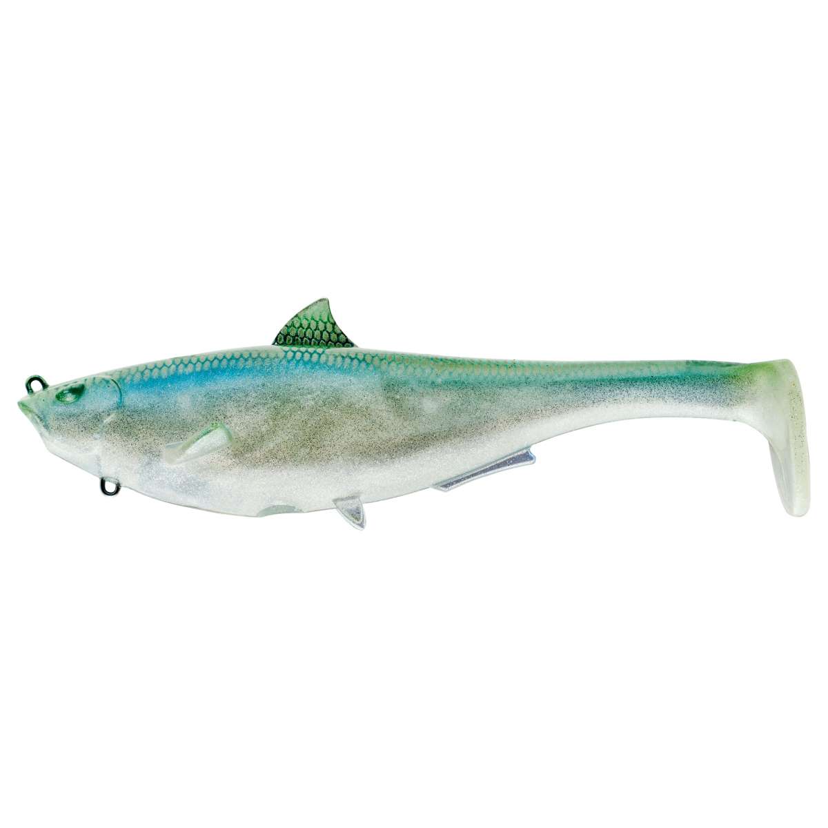 Blueback Herring