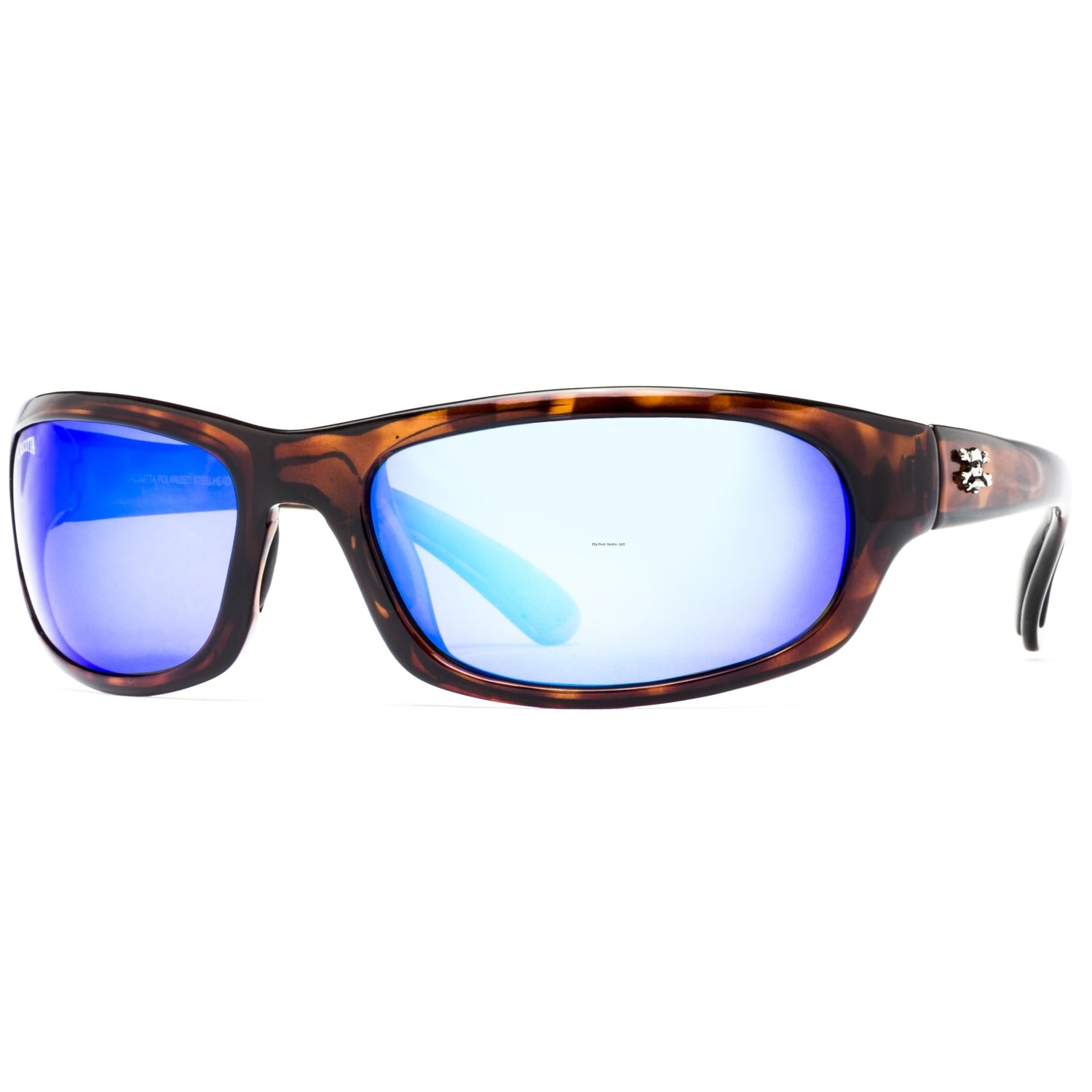 Tortoise Frames Blue Mirror Lens