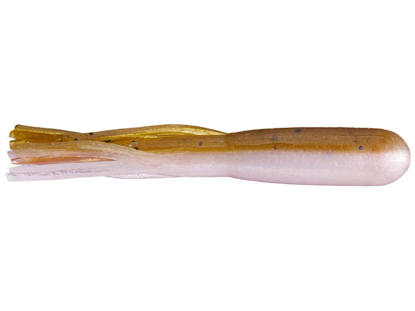 Juvenile Goby