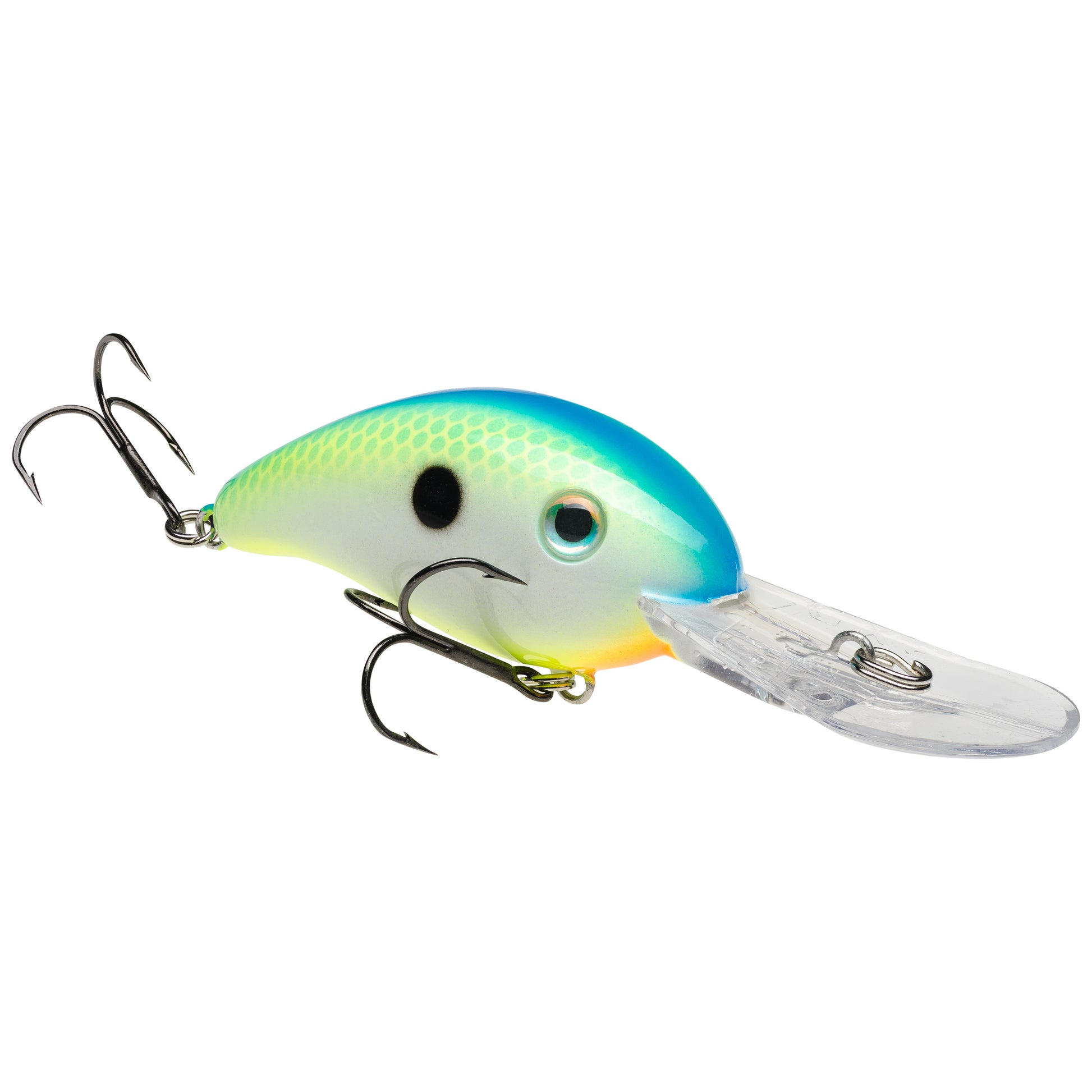 Citrus Shad