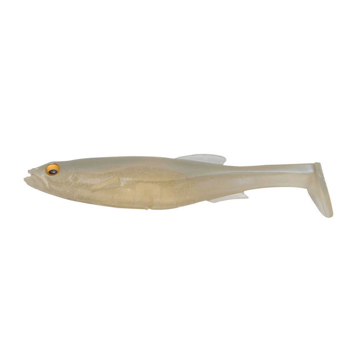 White Back Shad