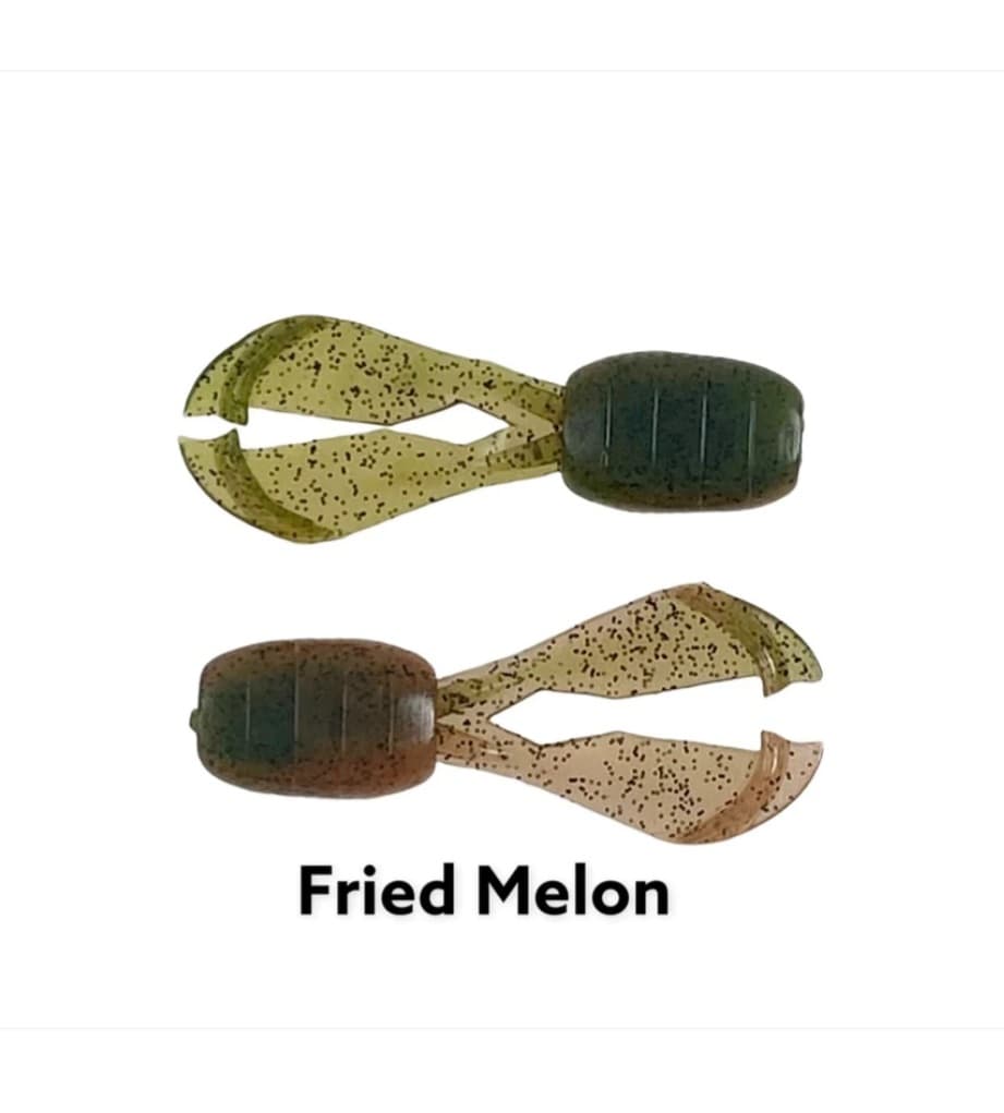 Fried Melon
